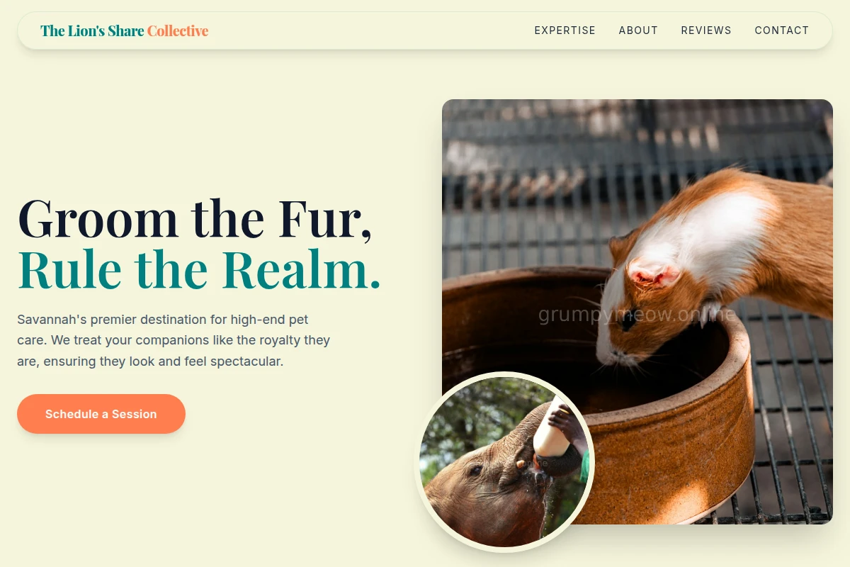 Savannah Animal Care