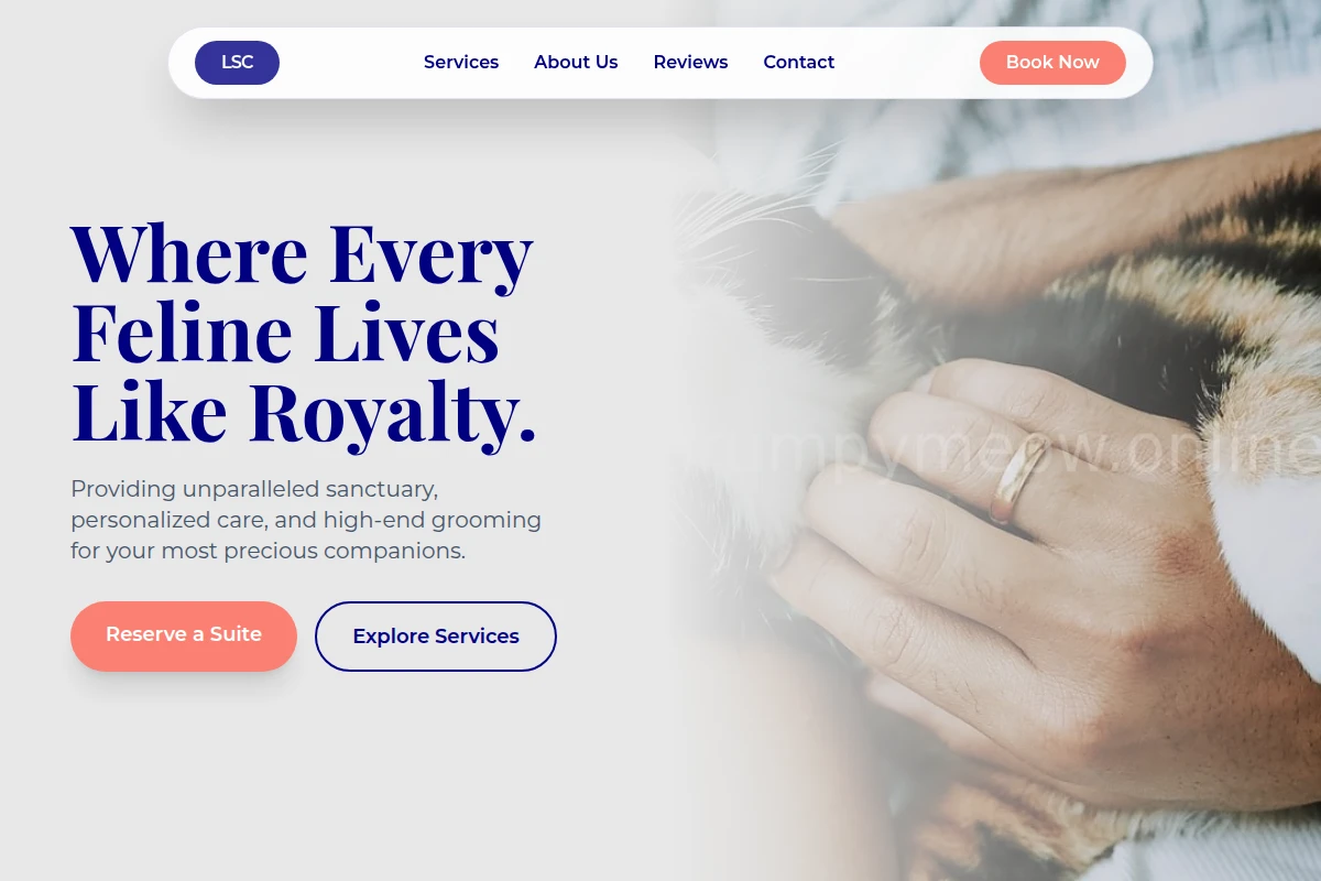 Cattery Animal Care