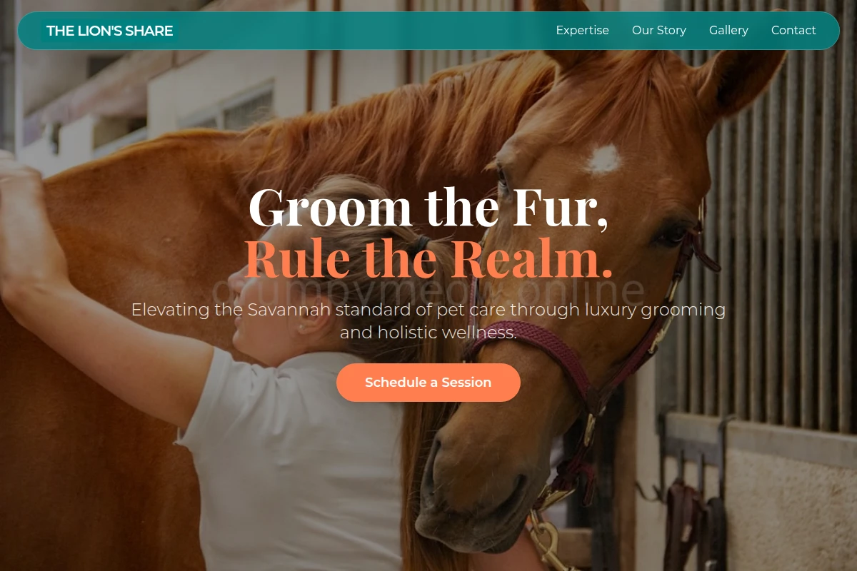 animal-care