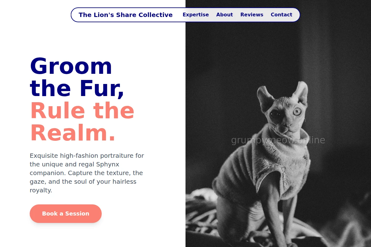 Sphynx Pet Photography