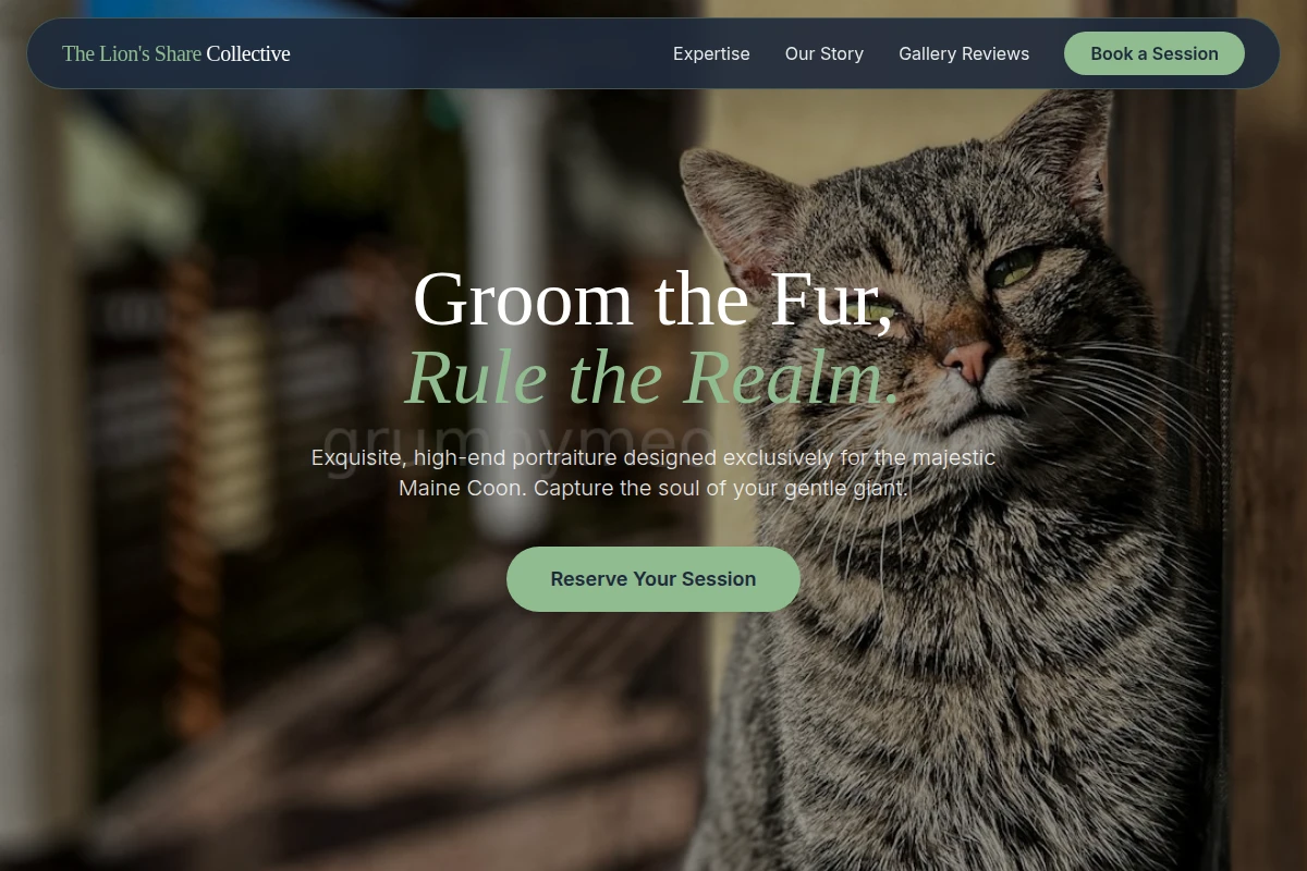 Maine Coon Pet Photography
