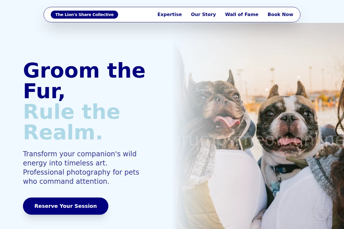 Leap Pet Photography