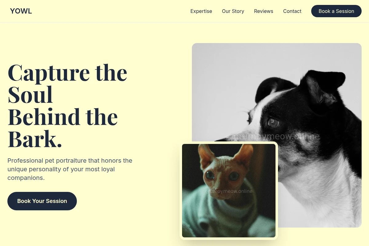 Yowl Pet Photography