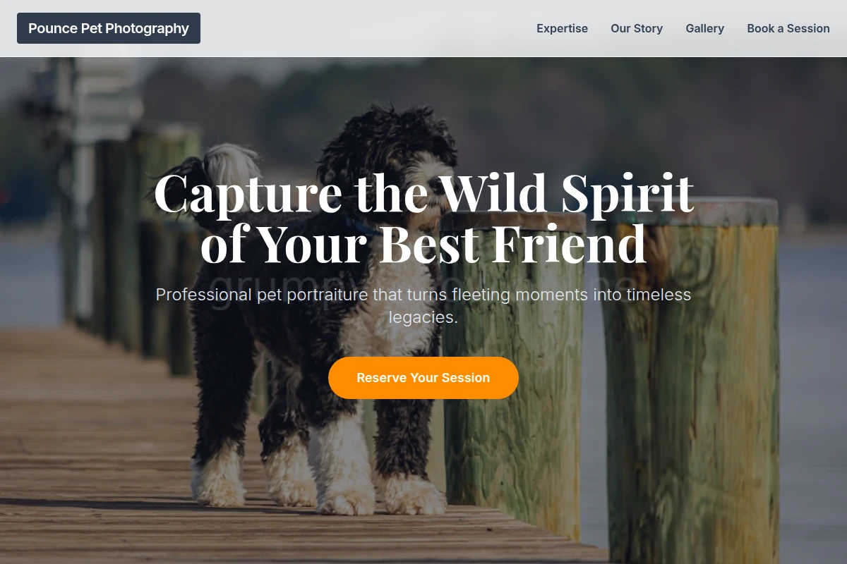 Pounce Pet Photography
