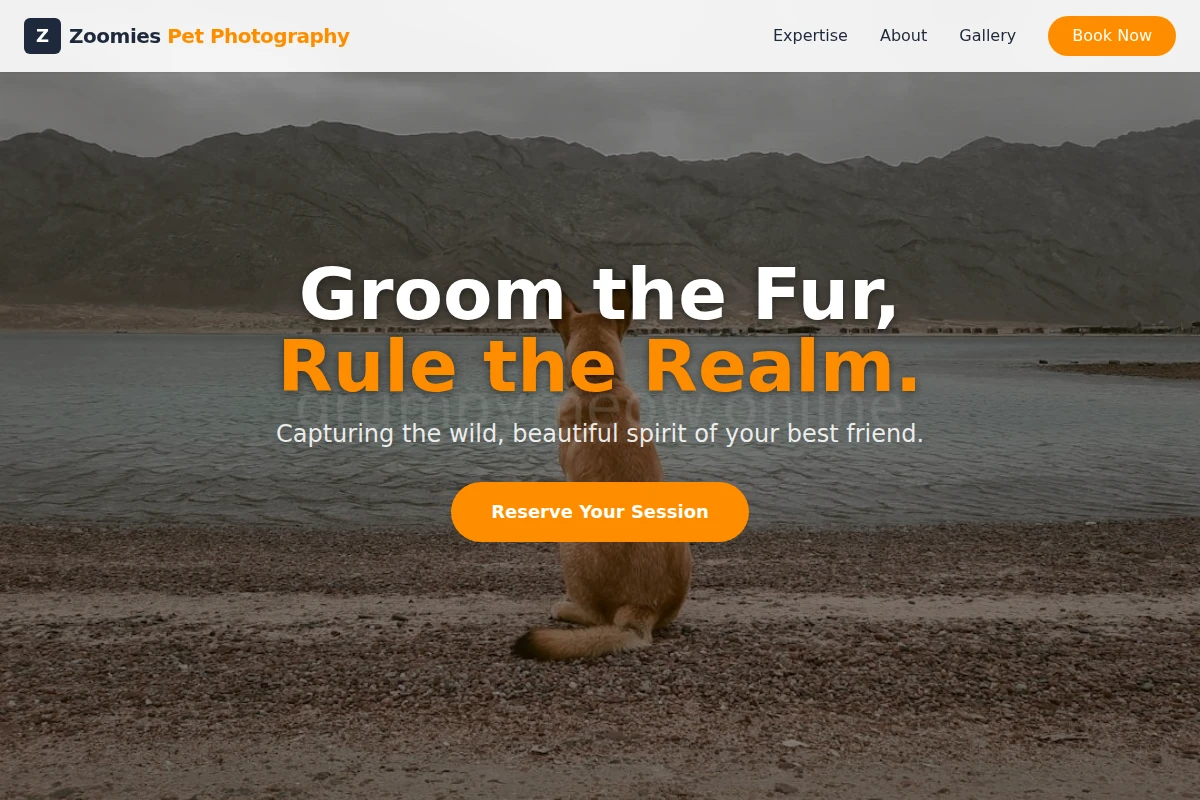 Zoomies Pet Photography