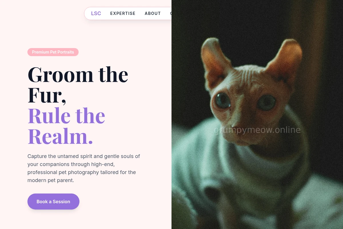Purr Pet Photography