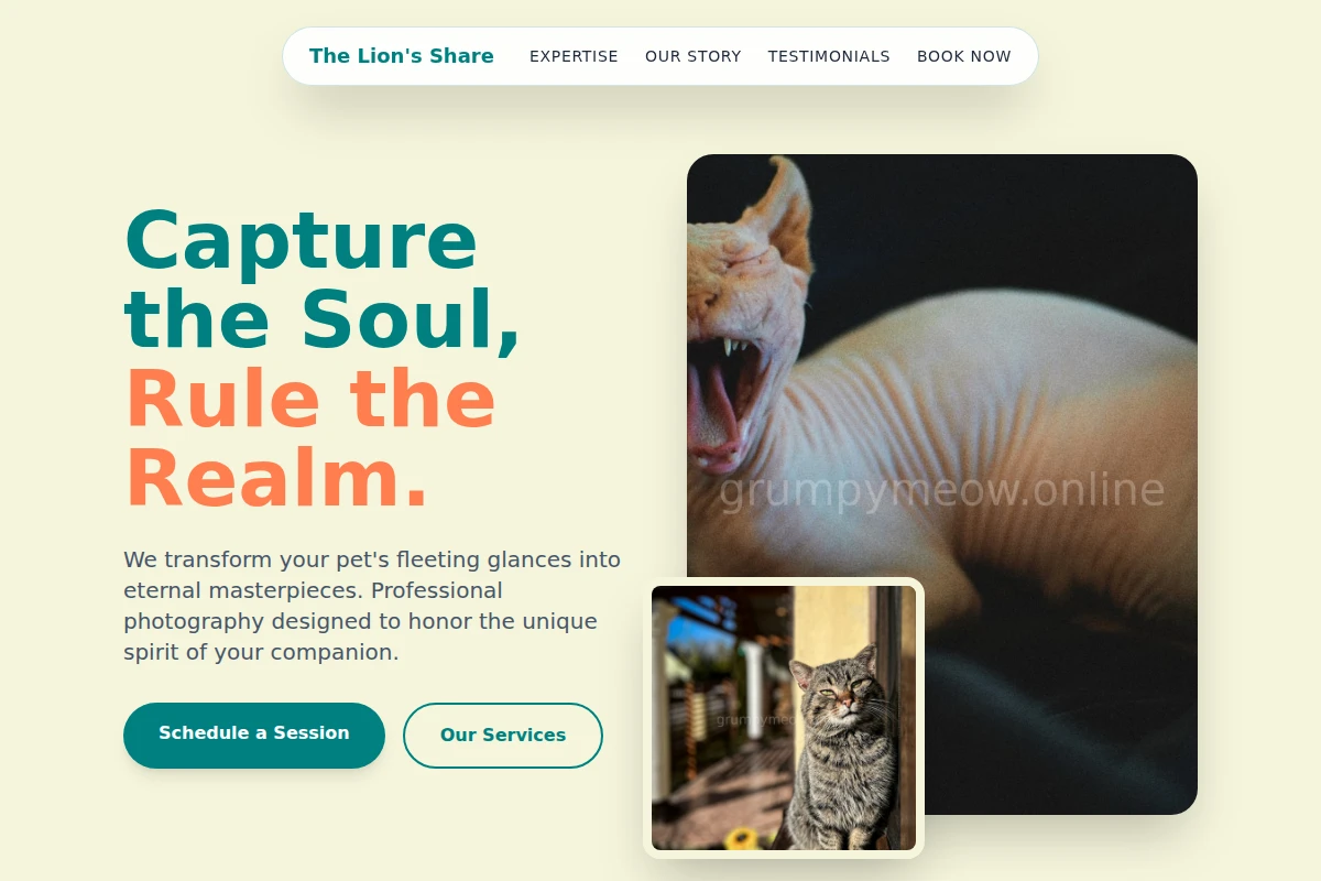 Meow Pet Photography
