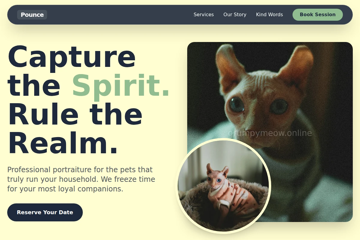 Pounce Pet Photography