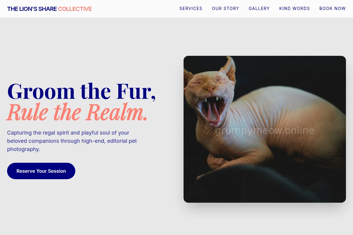 Brush Pet Photography