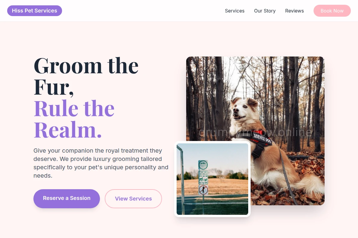 Hiss Pet Services