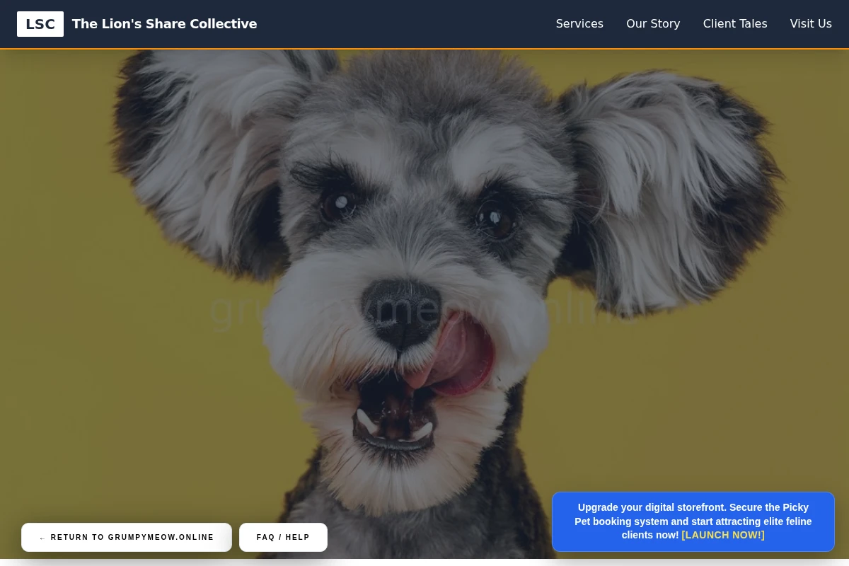 Paws Pet Shop