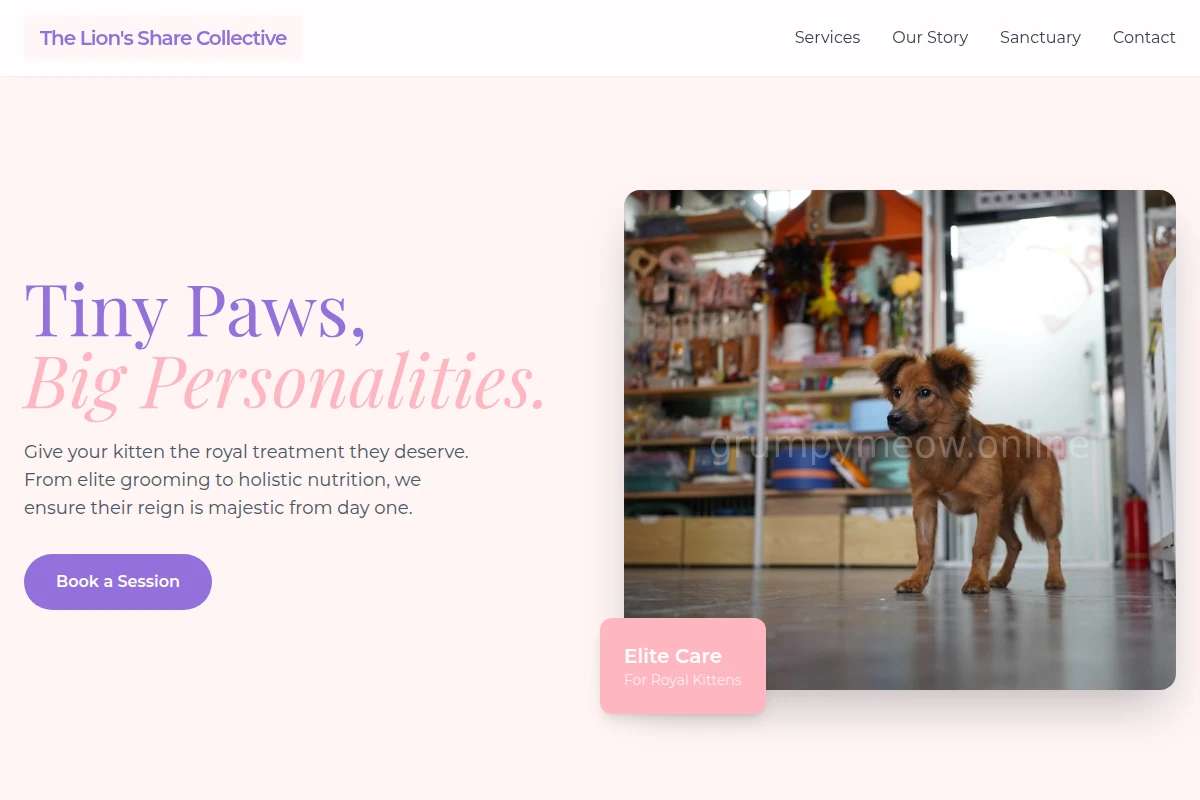 Kitten Pet Shop